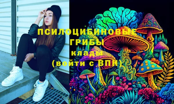 дурь Аркадак