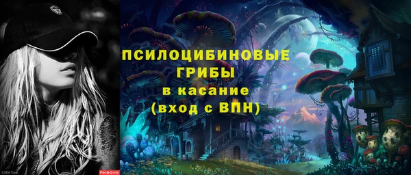 ГАЛЛЮЦИНОГЕННЫЕ ГРИБЫ Арсеньев