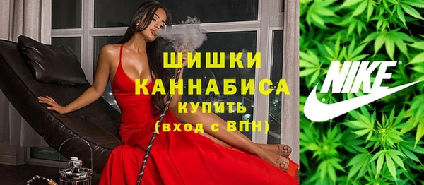 ГАЛЛЮЦИНОГЕННЫЕ ГРИБЫ Арсеньев