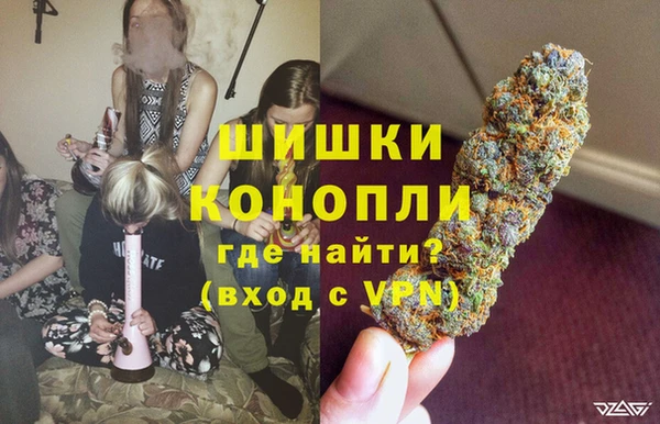 ГАЛЛЮЦИНОГЕННЫЕ ГРИБЫ Арсеньев
