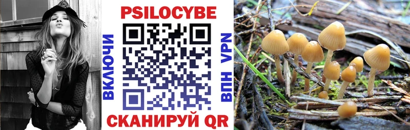 Галлюциногенные грибы Magic Shrooms  наркота  Кологрив 